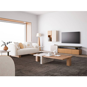 Mbajtese televizori per ambiente te medha Dome Mbajtese televizori per ambiente te medha Dome